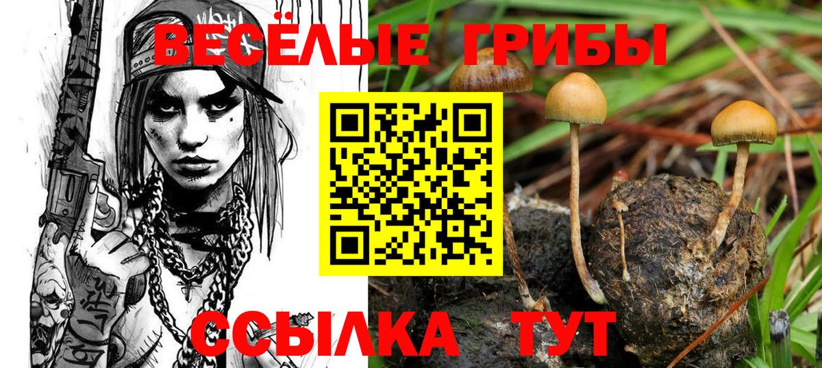 Уварово  Псилоцибиновые грибы MAGIC MUSHROOMS  Вход с VPN 